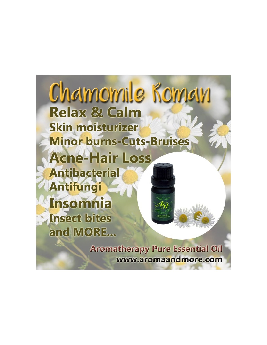 Chamomile Roman Essential Oil (England)-EOChamUK