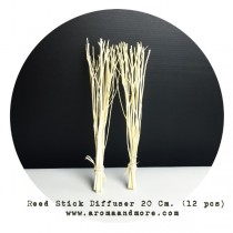 Reed Stick diffuser  Length 20 cm X12pcs-- 2 Packs/1 Bag