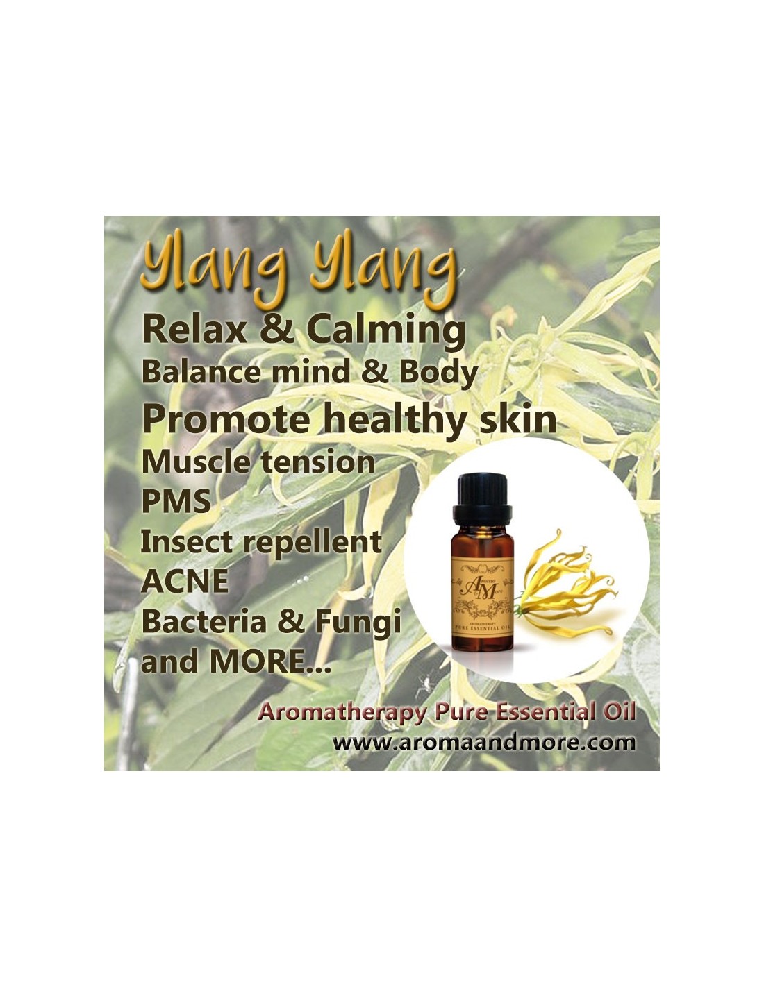 Chor Rossiyasi porno film Eng issiq porno video