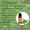 Peppermint Organic / น้ำมันหอมระเหยสะระแหน่ 100% ออร์แกนิค(เปปเปอร์มินต์) - อินเดีย