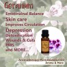 Rose Geranium Essential oil...