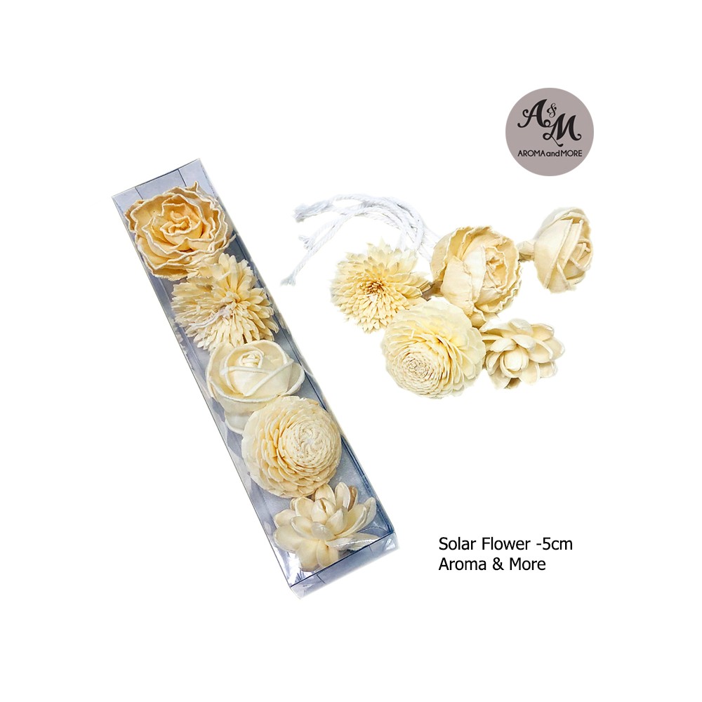 Solar Flower size 5cm x 5pcs assortment - Natural Handmade