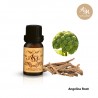 Angelica Root Essential Oil, India