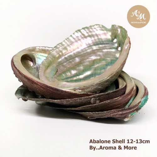 Abalone shell...