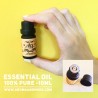 Bay “Select” Essential Oil, West Indies (Jamaica)