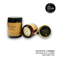 05-Scentsy Citrus- Scented Soy Candle-The scent of sweet citrus+Peppermint