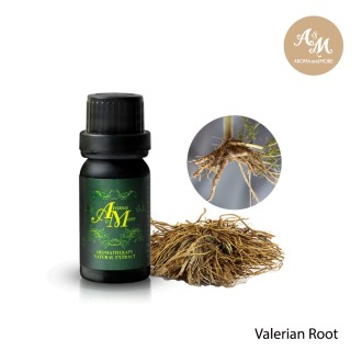 Valerian Root Essential oil, India