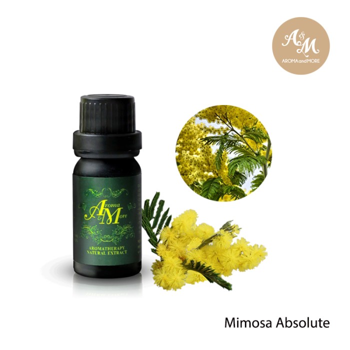 Mimosa Absolute Extract, India