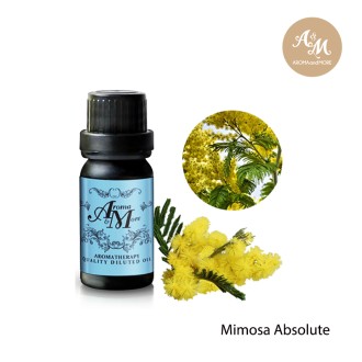 Mimosa Absolute Dilute 10% with FCO- น้ำมันหอมระเหยมิโมซ่าชนิดเจือจาง 10% แอปโซลูท -อินเดีย