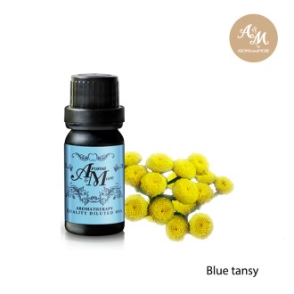 Blue Tansy Dilute 10% oil, Morocco