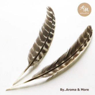 Turkey feather as a Cleansing Feather,Fan the sacred smoke in ritual or ceremony : 8-9''