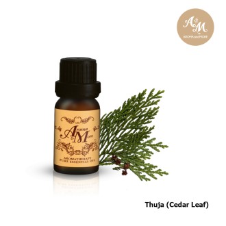 Thuja (Cedar Leaf, White Cedar)100% Pure Essential Oil, น้ำมันหอมระเหยทูจา, ออสเตรีย