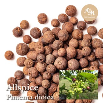 Allspice น้ำมันหอมระเหยออลสไปส์ 100%, Jamaica