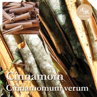 Cinnamon Bark น้ำมันหอมระเหยซินนามอน บาร์ค CO2 Extract 100% ( อบเชย), อินโดนีเซีย