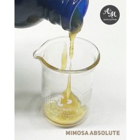 Mimosa Absolute / น้ำมันหอมระเหยมิโมซ่า แอปโซลูท 100 % อินเดีย