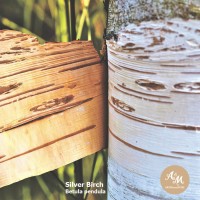 Birch Tar Essential Oil  USA