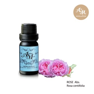 Rose Centifolia Absolute (Rose de Mai) น้ำมันหอมระเหยกุหลาบเซนติโฟเลีย แอปโซลูท ชนิดเจือจาง 10 % - Morocco