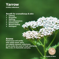 Yarrow (Chamazulene) Essential Oil 100% Pure - France