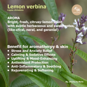 Lemon verbina essential oil Pure100% -Spain