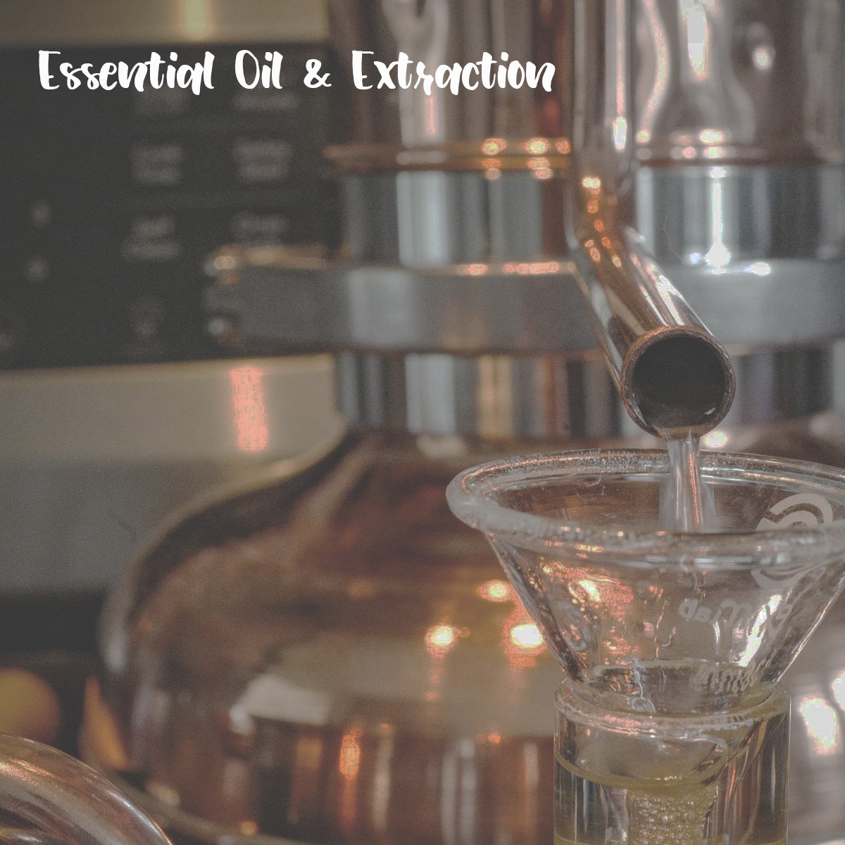 Essential Oil & Extraction 